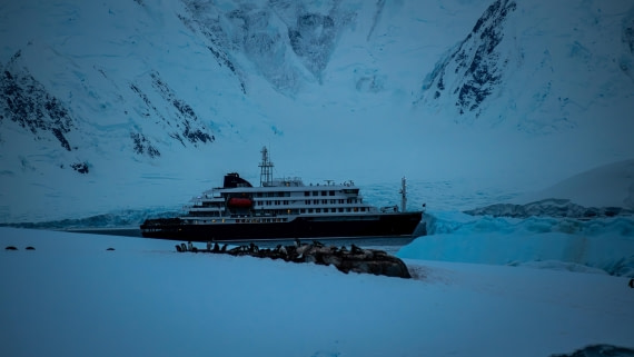 HDS23-25, Day 5, RLO_6331 © Alexander Romanovskiy - Oceanwide Expeditions.jpg