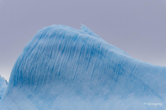 HDS23-25, Day 6, 5D5A9938 © Koen Jongerling - Oceanwide Expeditions.jpg