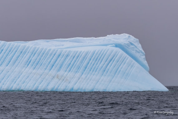 HDS23-25, Day 6, 5D5A9945 © Koen Jongerling - Oceanwide Expeditions.jpg