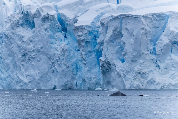 HDS23-25, Day 6, 5D5A9983 © Koen Jongerling - Oceanwide Expeditions.jpg