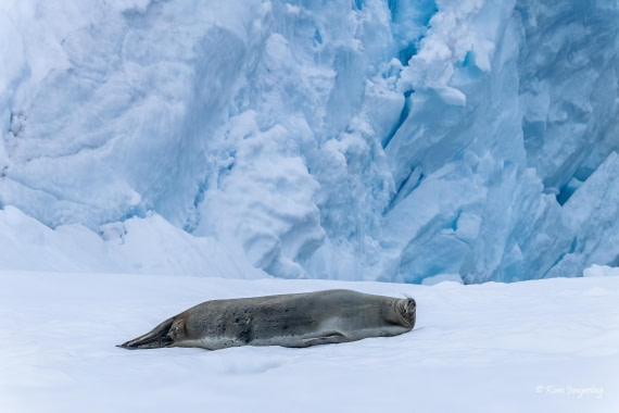 HDS23-25, Day 6, 5D5A9997 © Koen Jongerling - Oceanwide Expeditions.jpg