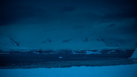 HDS23-25, Day 7, RLO_6389 © Alexander Romanovskiy - Oceanwide Expeditions.jpg