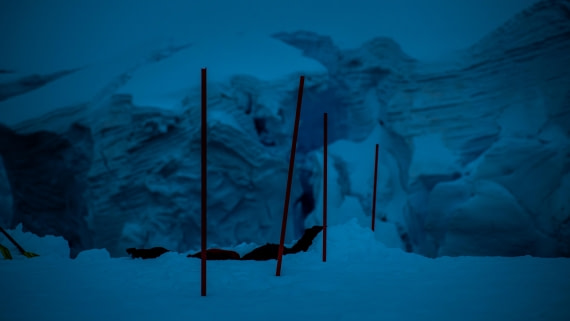 HDS23-25, Day 7, RLO_6393 © Alexander Romanovskiy - Oceanwide Expeditions.jpg