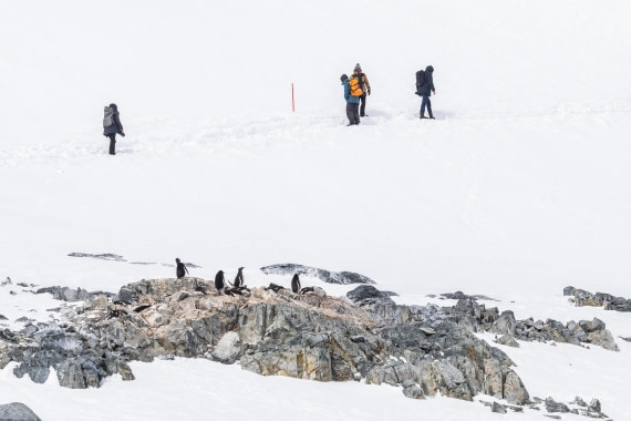 HDS23-25, Day 8, 5D5A0068 © Koen Jongerling - Oceanwide Expeditions.jpg