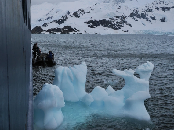 HDS23-25, Day 8, APMG6564 © Andy Perkins - Oceanwide Expeditions.JPG