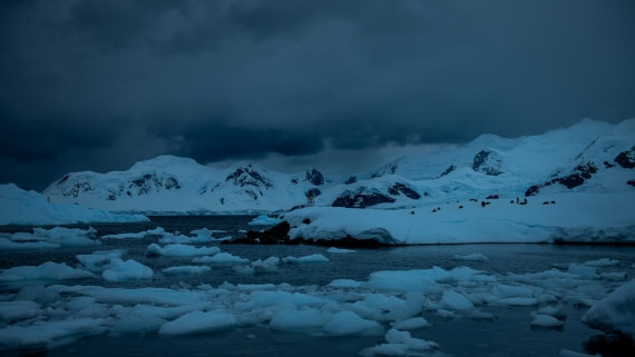 HDS23-25, Day 9, RAS_0279 © Alexander Romanovskiy - Oceanwide Expeditions.jpg