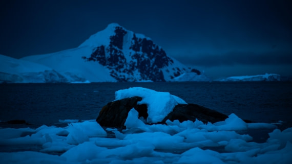 HDS23-25, Day 9, RLO_6449 © Alexander Romanovskiy - Oceanwide Expeditions.jpg