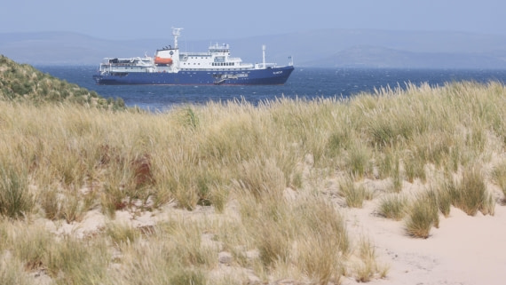 PLA23-25, Day 3,   PLA23_29NOV_FLK_New_Island_RegisPERDRIAT (17).jpg©Regis Perderiat - Oceanwide Expeditions.jpg