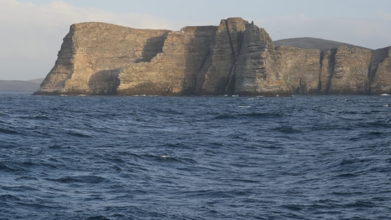 PLA23-25, Day 3,   PLA23_29NOV_FLK_New_Island_RegisPERDRIAT (35).jpg©Regis Perderiat - Oceanwide Expeditions.jpg