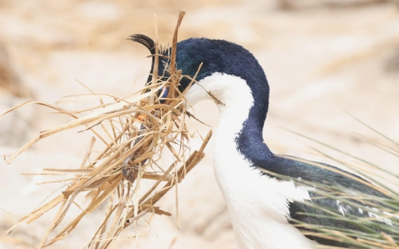 PLA23-25, Day 3, IMG_1572.JPG©Unown Photographer - Oceanwide Expeditions.JPG