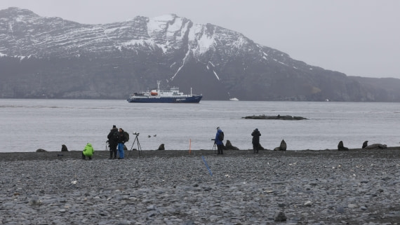 PLA23-25, Day 9,  PLA23_05DEC_SouthGeorgia_Day8_RegisPERDRIAT (1).CR3©Unown Photographer - Oceanwide Expeditions.jpg