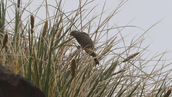 PLA23-25, Day 9, Day 09_RegisPERDRIAT (14).jpg ©Regis Perdriat - Oceanwide Expeditions.jpg