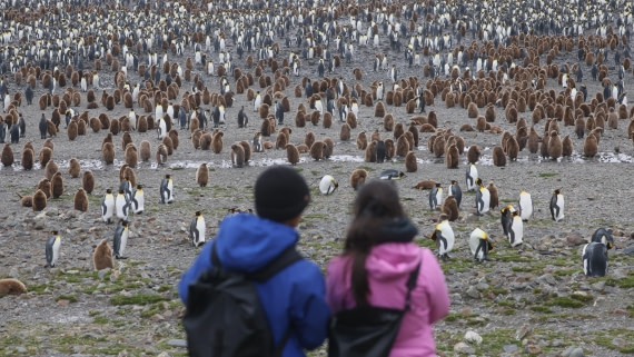 PLA23-25, Day 9, Day 09_RegisPERDRIAT (25).jpg ©Regis Perdriat - Oceanwide Expeditions.jpg