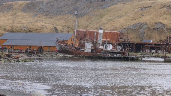 PLA23-25, Day 9, Day 09_RegisPERDRIAT (31).jpg ©Regis Perdriat - Oceanwide Expeditions.jpg