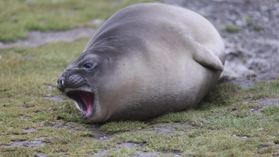 PLA23-25, Day 9, Day 09_RegisPERDRIAT (32).jpg ©Regis Perdriat - Oceanwide Expeditions.jpg