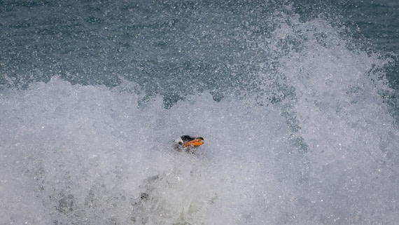 PLA23-25, Day 10,  PLA23-25, Day 3, 29-11 - Birds - AC-14.jpg ©Andrew Crowder - Oceanwide Expeditions.jpg©Andrew Crowder- Oceanwide Expeditions.jpg