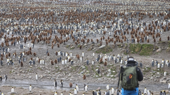 PLA23-25, Day 10, Day 10_RegisPERDRIAT (12).jpg ©Regis Perdriat - Oceanwide Expeditions.jpg