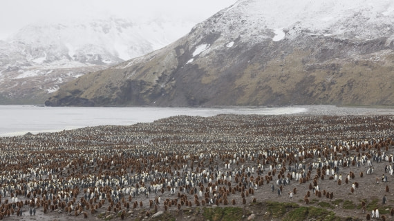 PLA23-25, Day 10, Day 10_RegisPERDRIAT (13).jpg ©Regis Perdriat - Oceanwide Expeditions.jpg