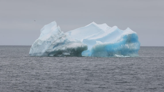 PLA23-25, Day 11, Day 11_RegisPERDRIAT (8).jpg ©Regis Perdriat - Oceanwide Expeditions.jpg