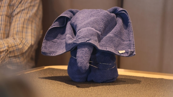 PLA23-25, Day 14, 5F4A5056.jpg ©Unknown Photographer - Oceanwide Expeditions.jpg