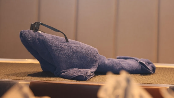 PLA23-25, Day 14, 5F4A5061.jpg ©Unknown Photographer - Oceanwide Expeditions.jpg