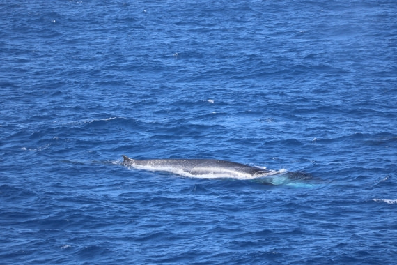 OTL24-25, Day 2, IMG_7389.JPG © Beth Hitchcock - Oceanwide Expeditions.JPG