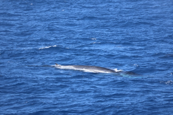 OTL24-25, Day 2, IMG_7390.JPG © Beth Hitchcock - Oceanwide Expeditions.JPG