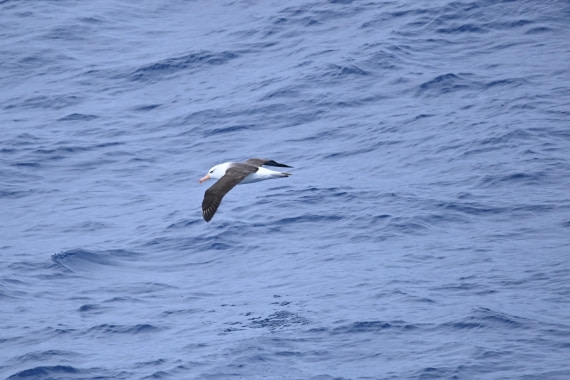 OTL24-25, Day 2, SAS_4375.JPG © Saskia van der Meij - Oceanwide Expeditions.JPG