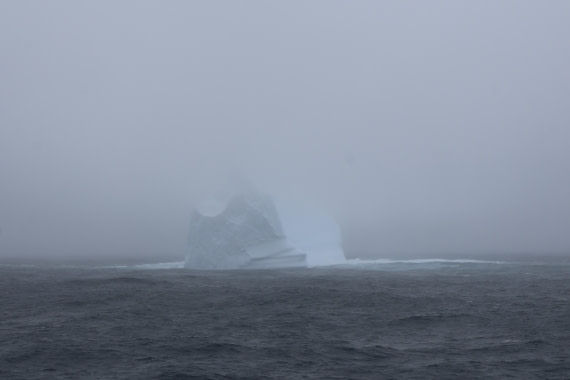 OTL24-25, Day 3, IMG_7410.JPG © Beth Hitchcock - Oceanwide Expeditions.JPG