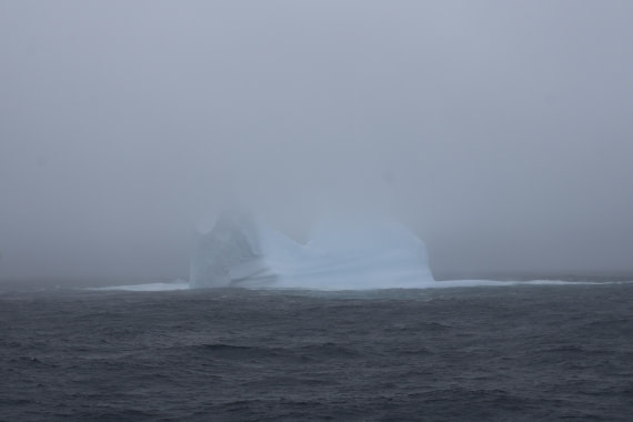 OTL24-25, Day 3, IMG_7418.JPG © Beth Hitchcock - Oceanwide Expeditions.JPG