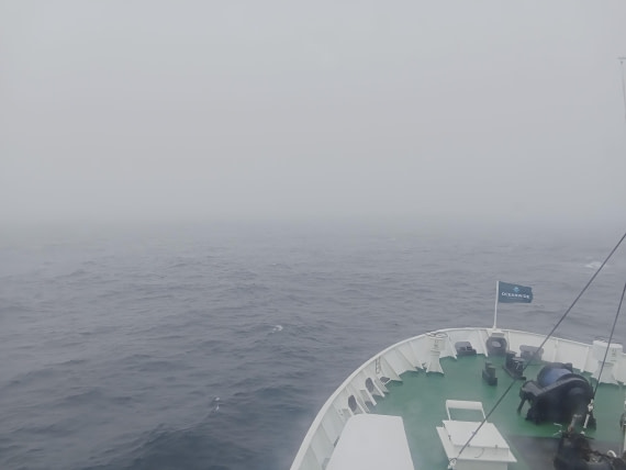 OTL24-25, Day 3, IMG20251203093945.jpg © Sam Bamford - Oceanwide Expeditions.jpg