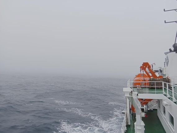 OTL24-25, Day 3, IMG20251203094057.jpg © Sam Bamford - Oceanwide Expeditions.jpg