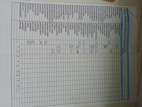 OTL24-25, Day 3, IMG20251203094548.jpg © Sam Bamford - Oceanwide Expeditions.jpg