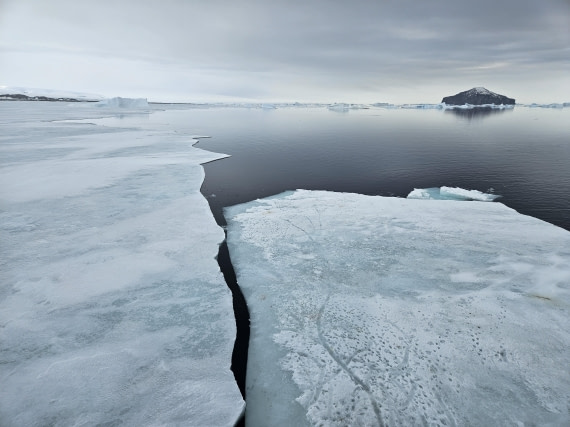 OTL24-25, Day 4, 20251204_181937.jpg © Saskia van der Meij - Oceanwide Expeditions.jpg