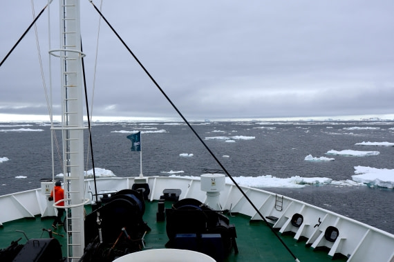 OTL24-25, Day 4, IMG_7497.JPG © Beth Hitchcock - Oceanwide Expeditions.JPG