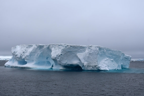 OTL24-25, Day 4, IMG_7498.JPG © Beth Hitchcock - Oceanwide Expeditions.JPG