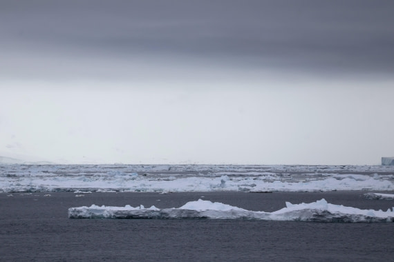 OTL24-25, Day 4, IMG_7505.JPG © Beth Hitchcock - Oceanwide Expeditions.JPG