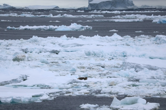 OTL24-25, Day 4, IMG_7507.JPG © Beth Hitchcock - Oceanwide Expeditions.JPG