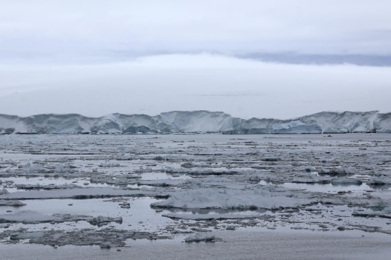 OTL24-25, Day 4, IMG_7536.JPG © Beth Hitchcock - Oceanwide Expeditions.JPG