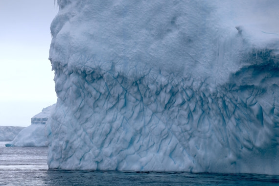 OTL24-25, Day 4, IMG_7569.JPG © Beth Hitchcock - Oceanwide Expeditions.JPG