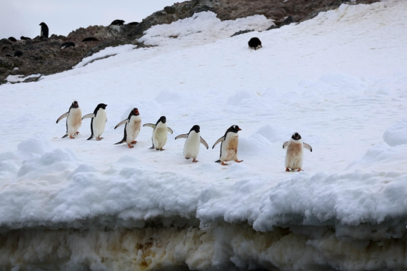 OTL24-25, Day 4, IMG_7577.JPG © Beth Hitchcock - Oceanwide Expeditions.JPG