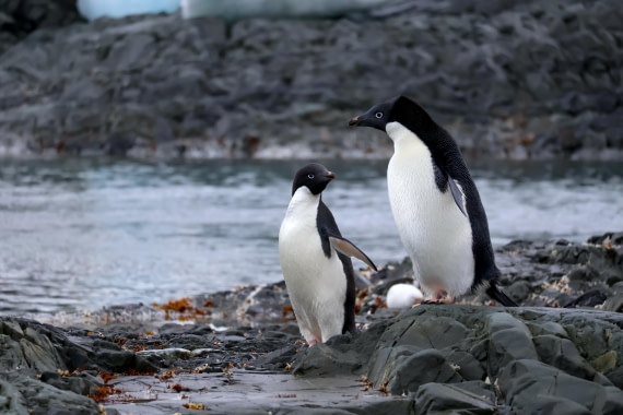 OTL24-25, Day 4, IMG_7605.JPG © Beth Hitchcock - Oceanwide Expeditions.JPG