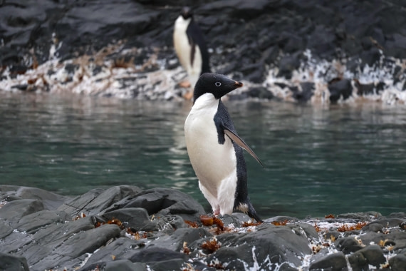 OTL24-25, Day 4, IMG_7629.JPG © Beth Hitchcock - Oceanwide Expeditions.JPG