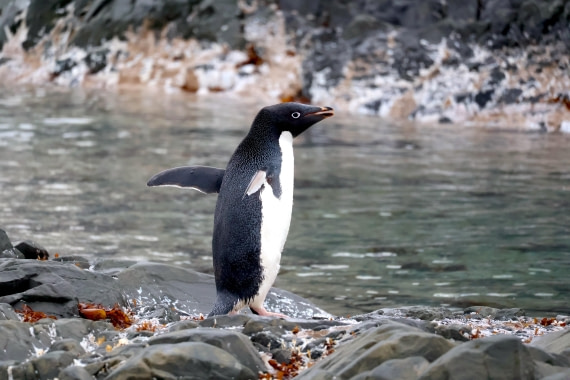 OTL24-25, Day 4, IMG_7632.JPG © Beth Hitchcock - Oceanwide Expeditions.JPG