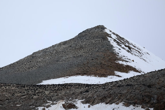 OTL24-25, Day 4, IMG_7668.JPG © Beth Hitchcock - Oceanwide Expeditions.JPG