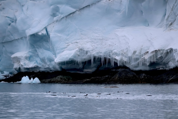 OTL24-25, Day 4, IMG_7681.JPG © Beth Hitchcock - Oceanwide Expeditions.JPG