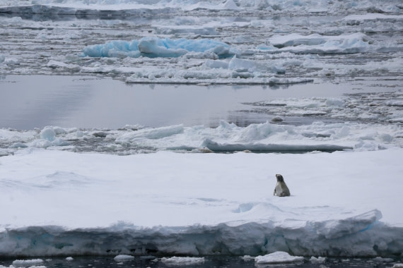 OTL24-25, Day 4, IMG_7729.JPG © Beth Hitchcock - Oceanwide Expeditions.JPG