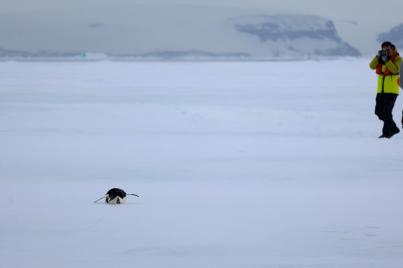 OTL24-25, Day 4, IMG_7758.JPG © Beth Hitchcock - Oceanwide Expeditions.JPG