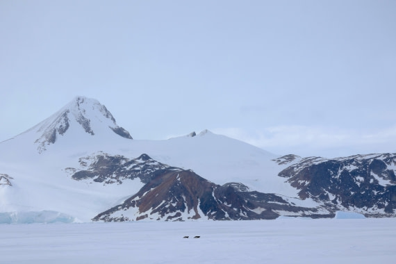 OTL24-25, Day 4, IMG_7764.JPG © Beth Hitchcock - Oceanwide Expeditions.JPG