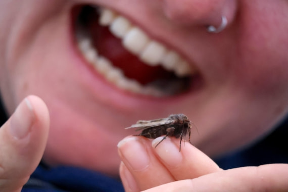 OTL24-25, Day 4, IMG_7792.JPG © Beth Hitchcock - Oceanwide Expeditions.JPG